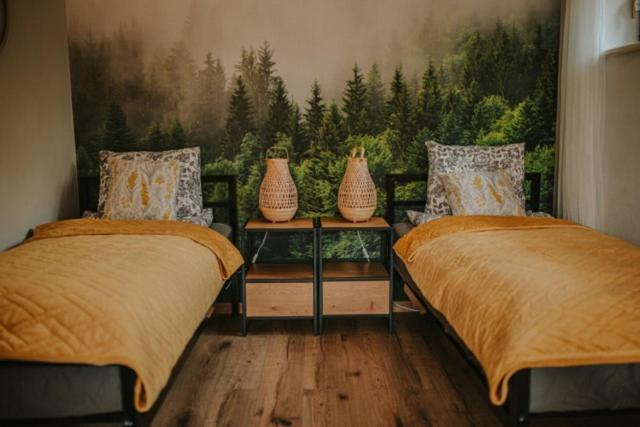 Apartment Cinalkowa 6, Na Gorze Zar Miedzybrodzie Zywieckie